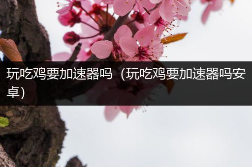 玩吃鸡要加速器吗（玩吃鸡要加速器吗安卓）