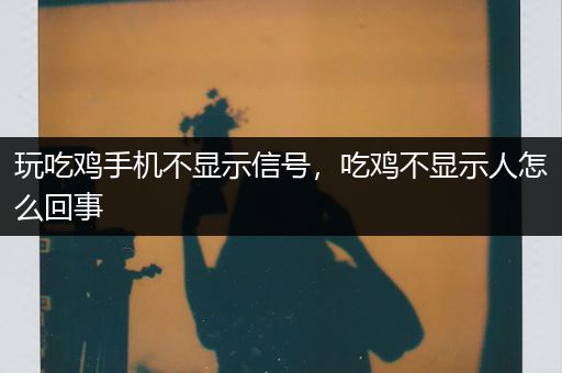玩吃鸡手机不显示信号，吃鸡不显示人怎么回事