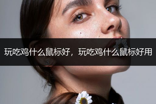 玩吃鸡什么鼠标好，玩吃鸡什么鼠标好用