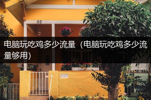 电脑玩吃鸡多少流量（电脑玩吃鸡多少流量够用）