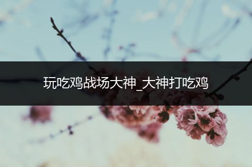 玩吃鸡战场大神_大神打吃鸡