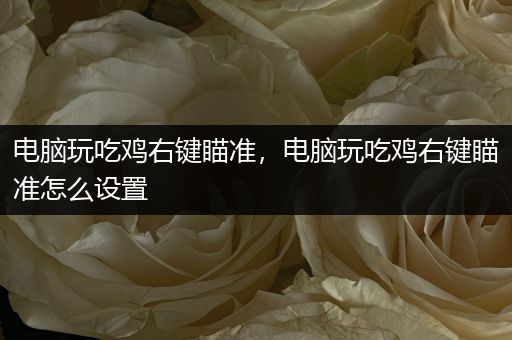 电脑玩吃鸡右键瞄准，电脑玩吃鸡右键瞄准怎么设置