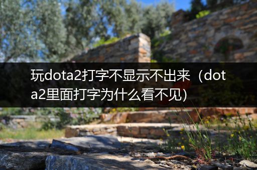 玩dota2打字不显示不出来（dota2里面打字为什么看不见）
