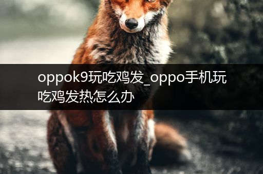 oppok9玩吃鸡发_oppo手机玩吃鸡发热怎么办