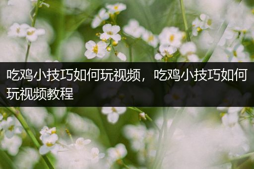 吃鸡小技巧如何玩视频，吃鸡小技巧如何玩视频教程