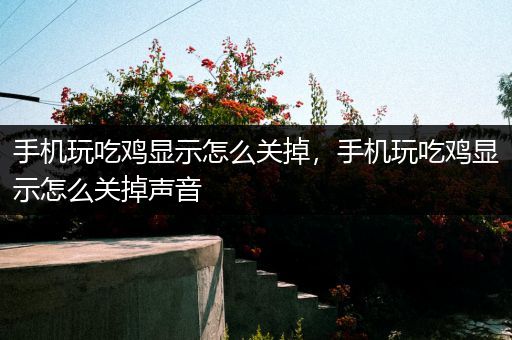 手机玩吃鸡显示怎么关掉，手机玩吃鸡显示怎么关掉声音
