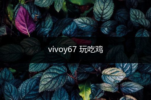vivoy67 玩吃鸡