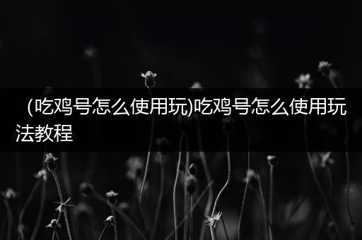 （吃鸡号怎么使用玩)吃鸡号怎么使用玩法教程