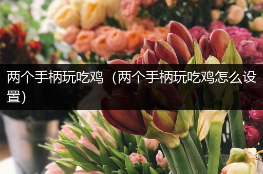 两个手柄玩吃鸡（两个手柄玩吃鸡怎么设置）