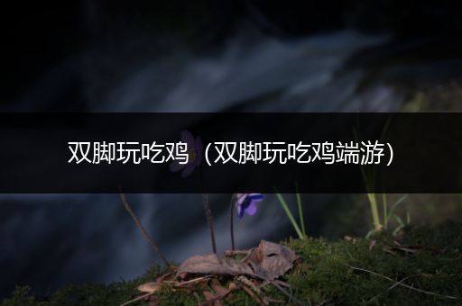 双脚玩吃鸡（双脚玩吃鸡端游）