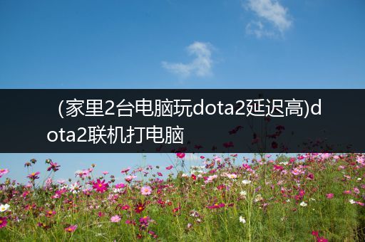 （家里2台电脑玩dota2延迟高)dota2联机打电脑