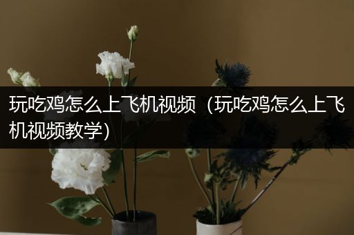 玩吃鸡怎么上飞机视频（玩吃鸡怎么上飞机视频教学）
