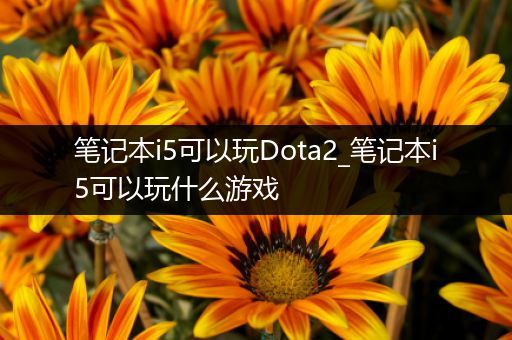 笔记本i5可以玩Dota2_笔记本i5可以玩什么游戏