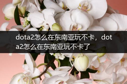 dota2怎么在东南亚玩不卡，dota2怎么在东南亚玩不卡了