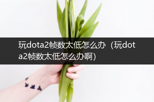 玩dota2帧数太低怎么办（玩dota2帧数太低怎么办啊）