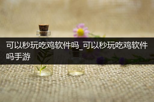 可以秒玩吃鸡软件吗_可以秒玩吃鸡软件吗手游