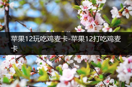 苹果12玩吃鸡麦卡-苹果12打吃鸡麦卡