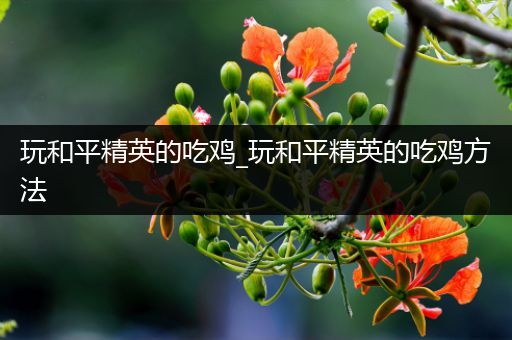 玩和平精英的吃鸡_玩和平精英的吃鸡方法