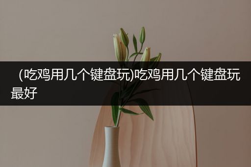 （吃鸡用几个键盘玩)吃鸡用几个键盘玩最好