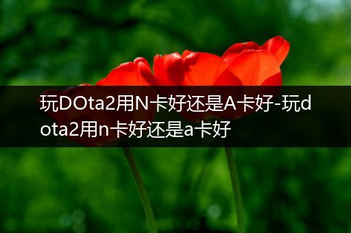 玩DOta2用N卡好还是A卡好-玩dota2用n卡好还是a卡好