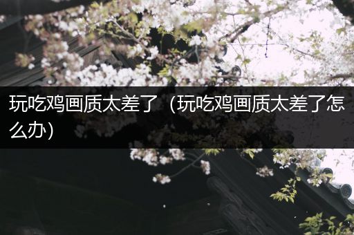 玩吃鸡画质太差了（玩吃鸡画质太差了怎么办）