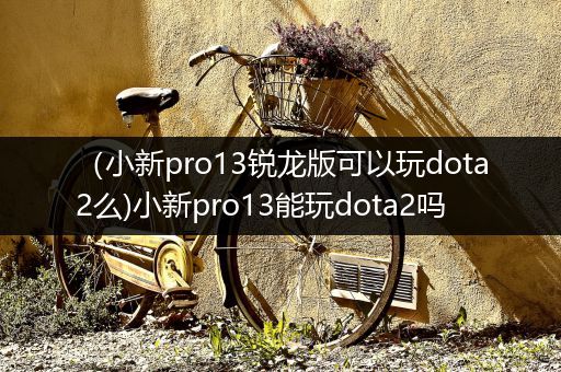 （小新pro13锐龙版可以玩dota2么)小新pro13能玩dota2吗