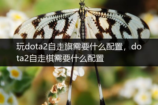 玩dota2自走旗需要什么配置，dota2自走棋需要什么配置