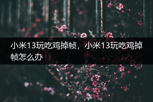 小米13玩吃鸡掉帧，小米13玩吃鸡掉帧怎么办