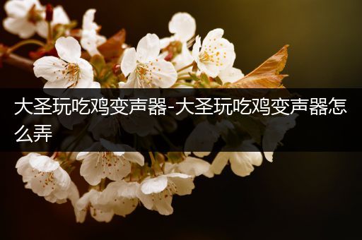 大圣玩吃鸡变声器-大圣玩吃鸡变声器怎么弄