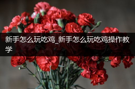 新手怎么玩吃鸡_新手怎么玩吃鸡操作教学