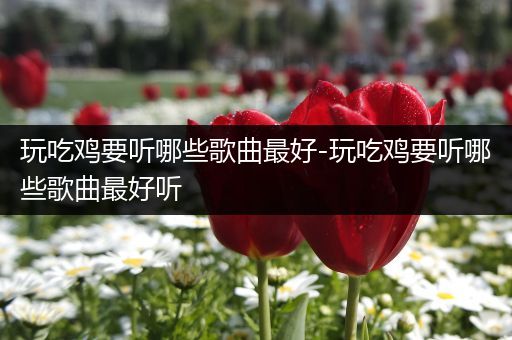 玩吃鸡要听哪些歌曲最好-玩吃鸡要听哪些歌曲最好听