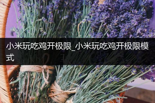 小米玩吃鸡开极限_小米玩吃鸡开极限模式