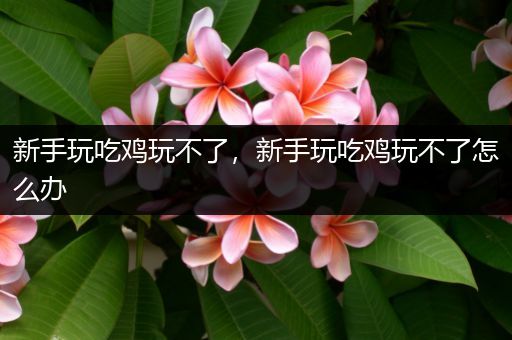 新手玩吃鸡玩不了，新手玩吃鸡玩不了怎么办