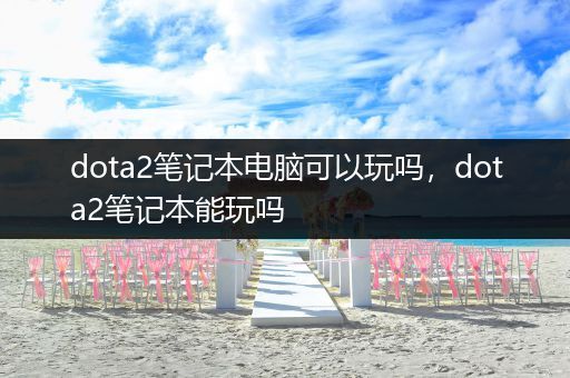 dota2笔记本电脑可以玩吗，dota2笔记本能玩吗