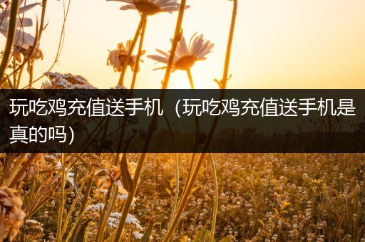 玩吃鸡充值送手机（玩吃鸡充值送手机是真的吗）