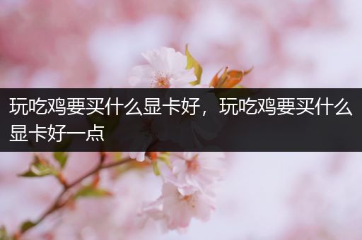 玩吃鸡要买什么显卡好，玩吃鸡要买什么显卡好一点