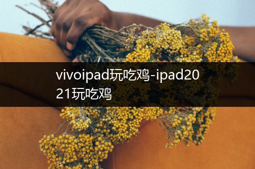 vivoipad玩吃鸡-ipad2021玩吃鸡