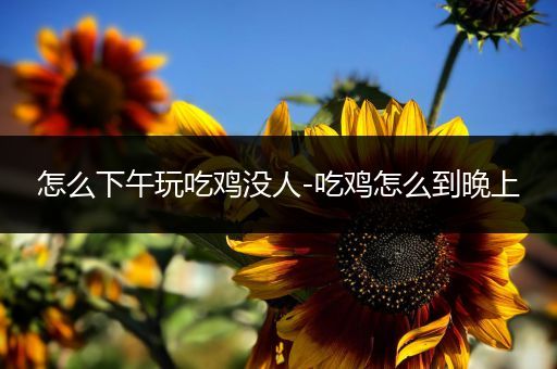 怎么下午玩吃鸡没人-吃鸡怎么到晚上
