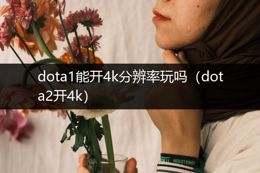dota1能开4k分辨率玩吗（dota2开4k）