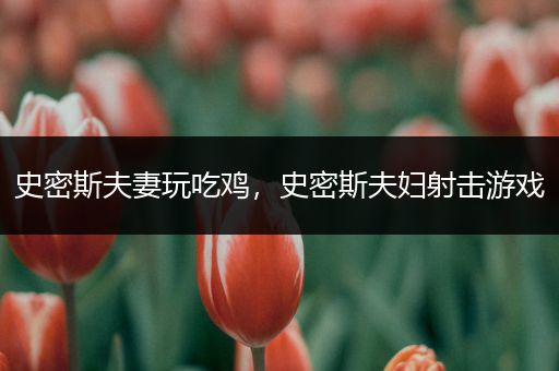 史密斯夫妻玩吃鸡，史密斯夫妇射击游戏