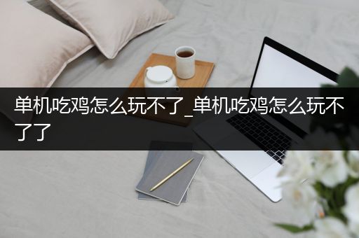 单机吃鸡怎么玩不了_单机吃鸡怎么玩不了了