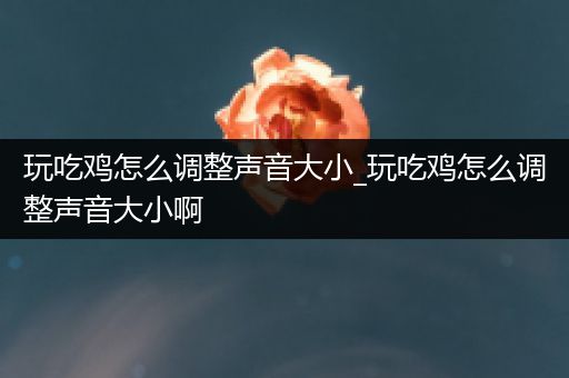 玩吃鸡怎么调整声音大小_玩吃鸡怎么调整声音大小啊