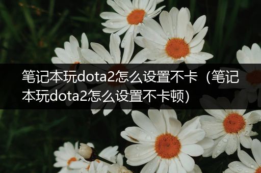 笔记本玩dota2怎么设置不卡（笔记本玩dota2怎么设置不卡顿）