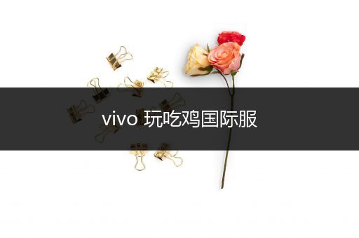 vivo 玩吃鸡国际服