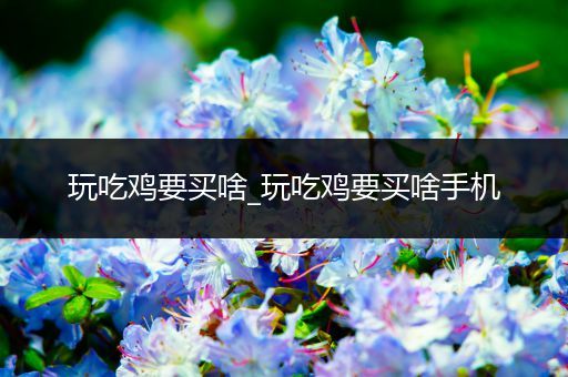 玩吃鸡要买啥_玩吃鸡要买啥手机