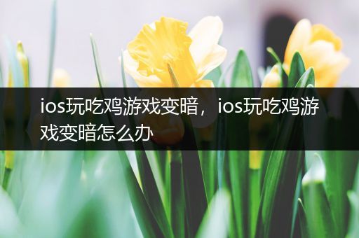 ios玩吃鸡游戏变暗，ios玩吃鸡游戏变暗怎么办