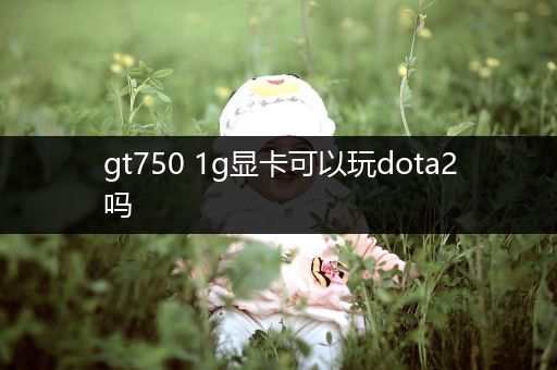 gt750 1g显卡可以玩dota2吗