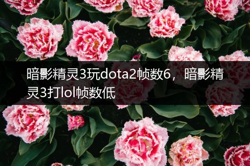 暗影精灵3玩dota2帧数6，暗影精灵3打lol帧数低