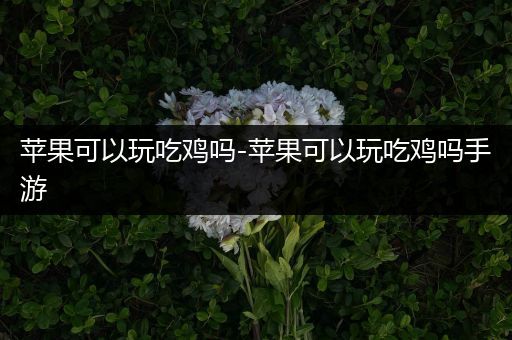 苹果可以玩吃鸡吗-苹果可以玩吃鸡吗手游