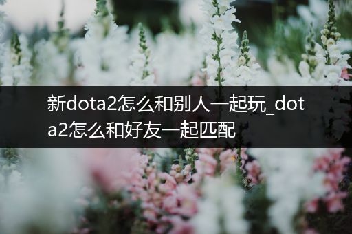 新dota2怎么和别人一起玩_dota2怎么和好友一起匹配